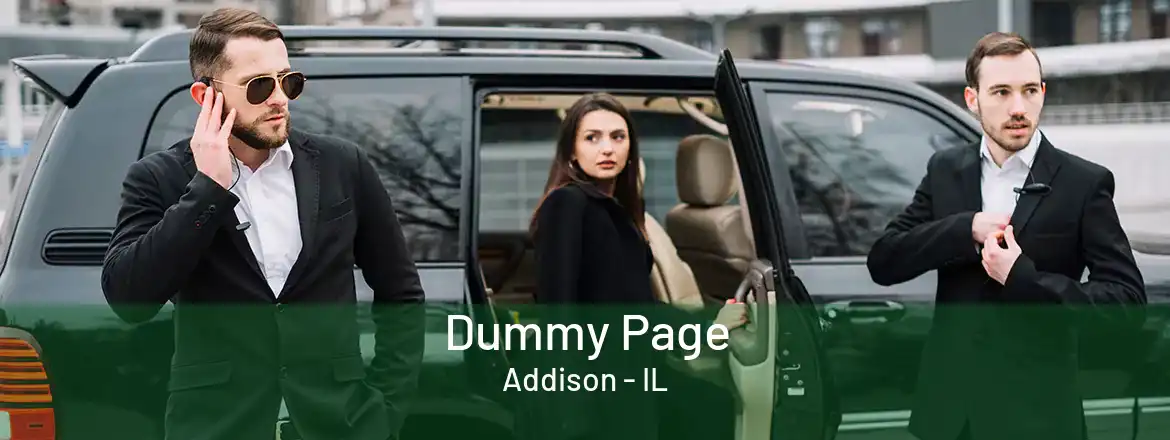  Dummy Page Addison - IL