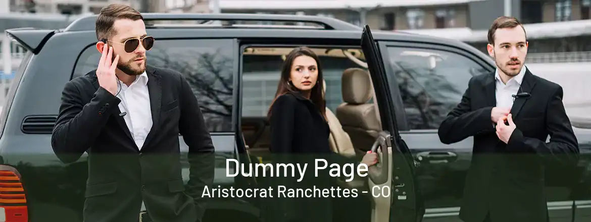  Dummy Page Aristocrat Ranchettes - CO
