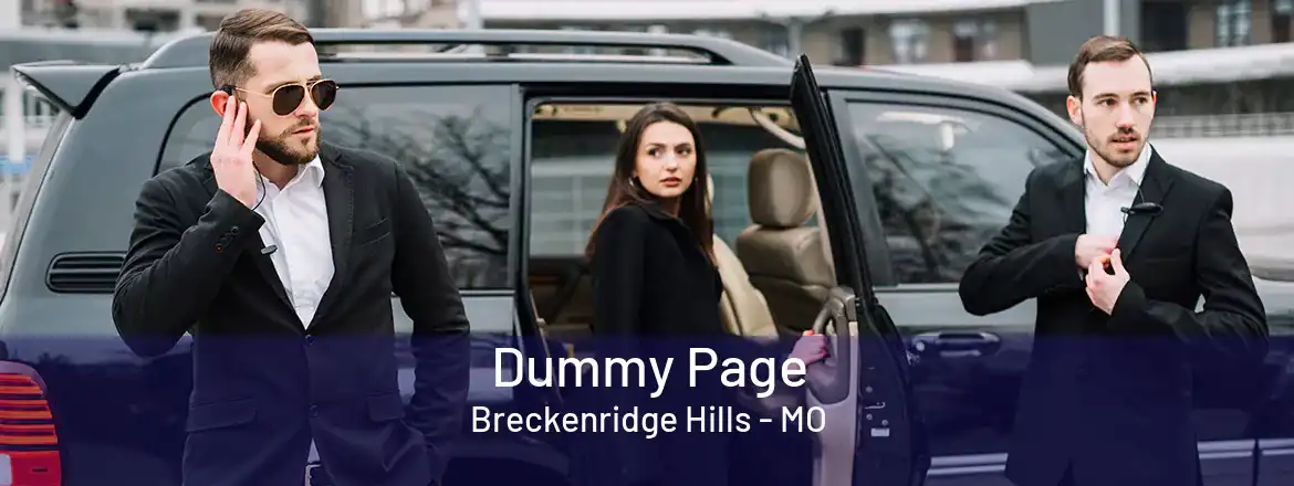  Dummy Page Breckenridge Hills - MO