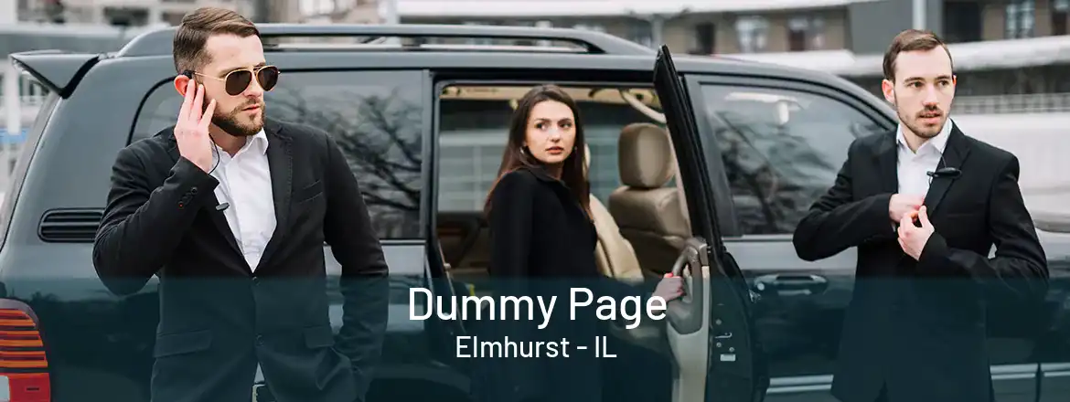  Dummy Page Elmhurst - IL