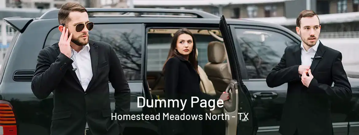  Dummy Page Homestead Meadows North - TX