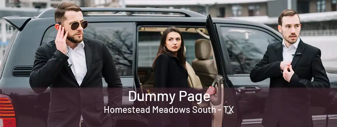  Dummy Page Homestead Meadows South - TX