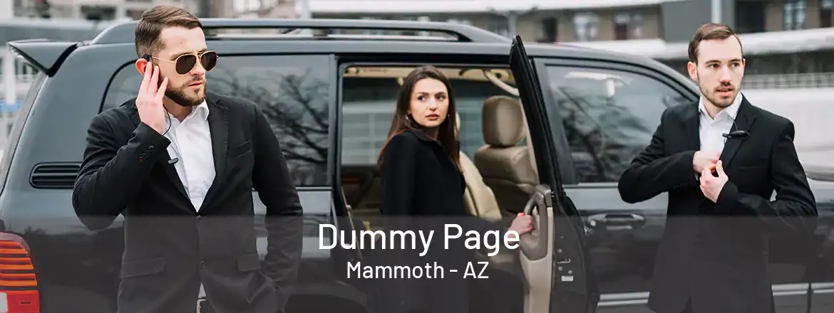  Dummy Page Mammoth - AZ