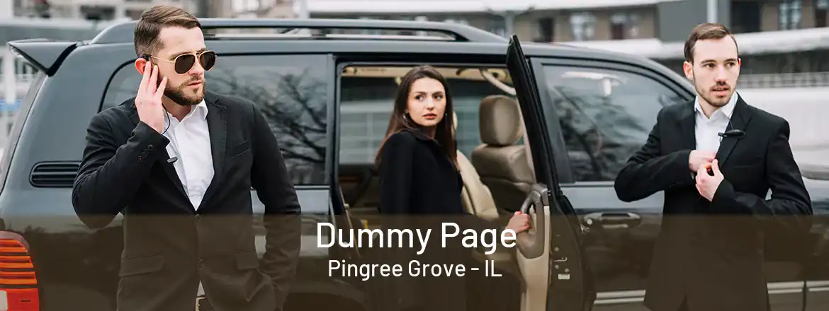  Dummy Page Pingree Grove - IL