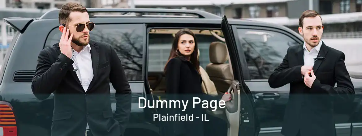  Dummy Page Plainfield - IL