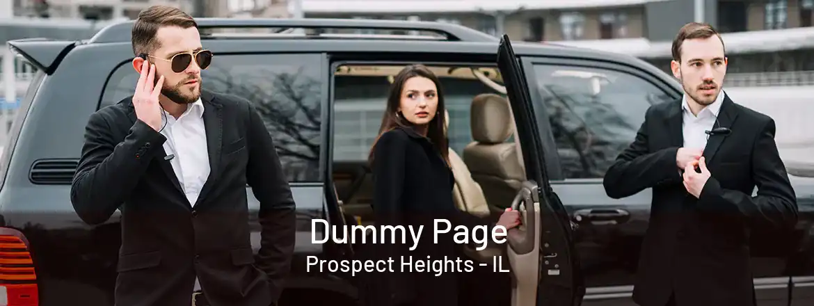  Dummy Page Prospect Heights - IL
