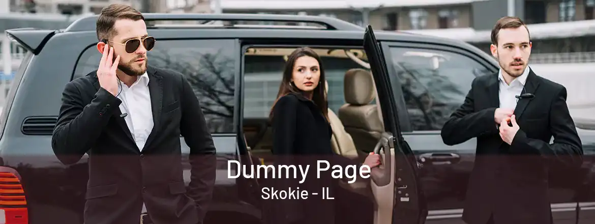  Dummy Page Skokie - IL