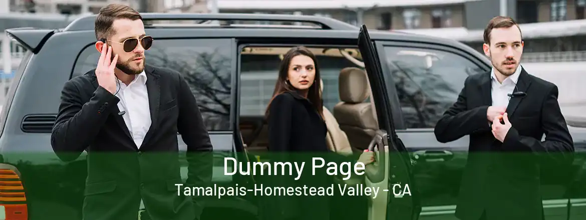  Dummy Page Tamalpais-Homestead Valley - CA