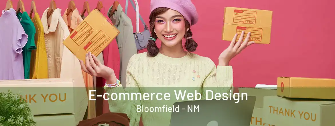  E-commerce Web Design Bloomfield - NM