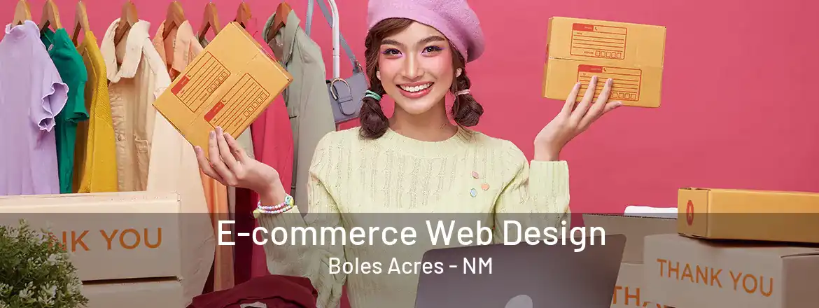  E-commerce Web Design Boles Acres - NM