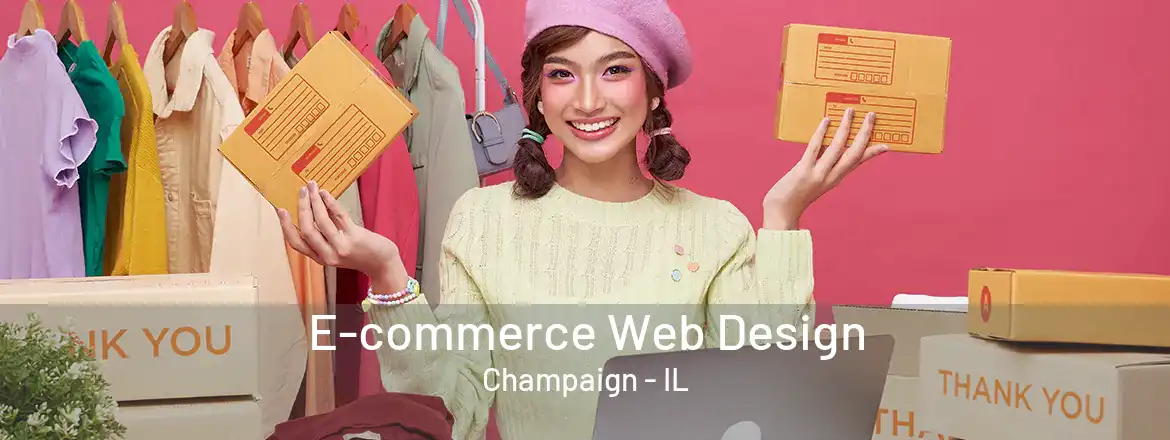  E-commerce Web Design Champaign - IL