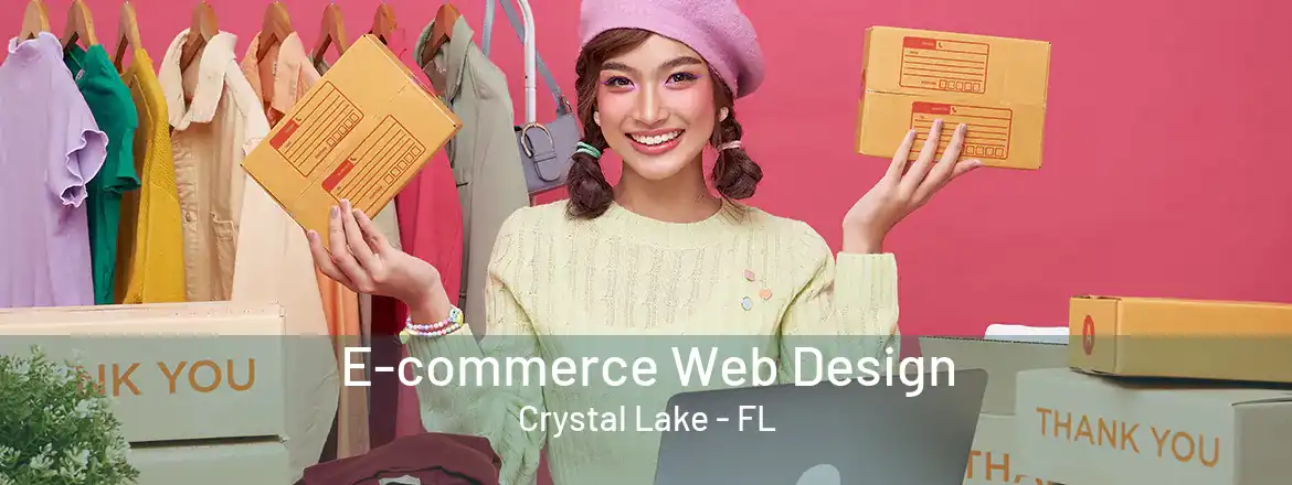  E-commerce Web Design Crystal Lake - FL