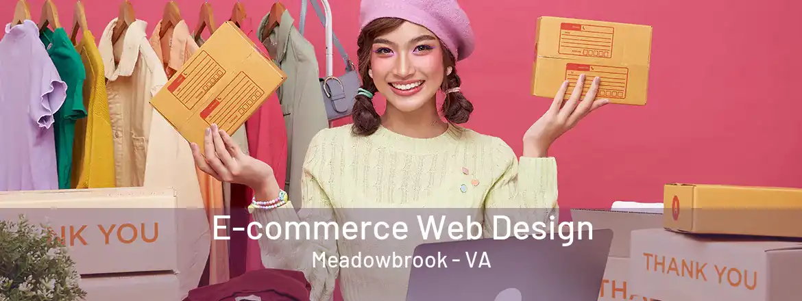  E-commerce Web Design Meadowbrook - VA