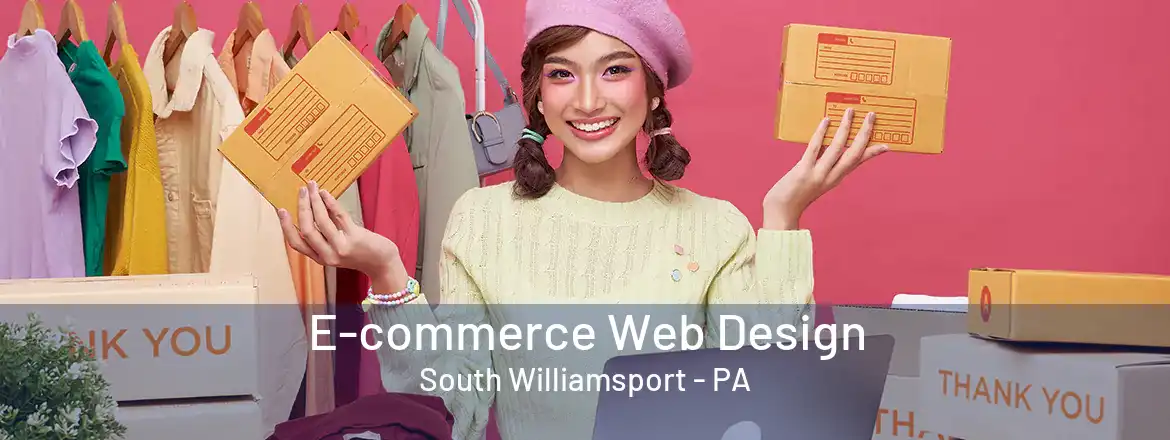  E-commerce Web Design South Williamsport - PA