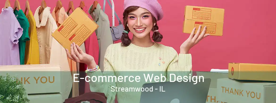  E-commerce Web Design Streamwood - IL