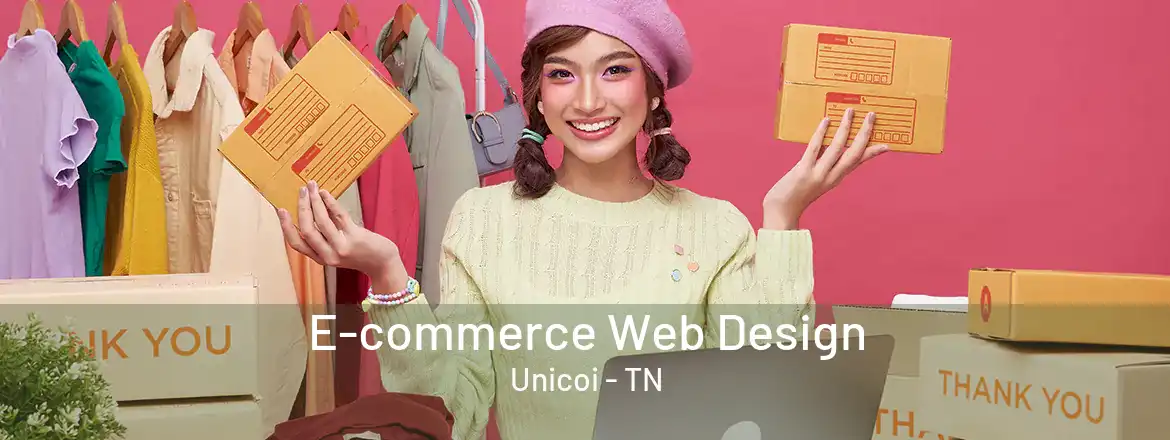  E-commerce Web Design Unicoi - TN