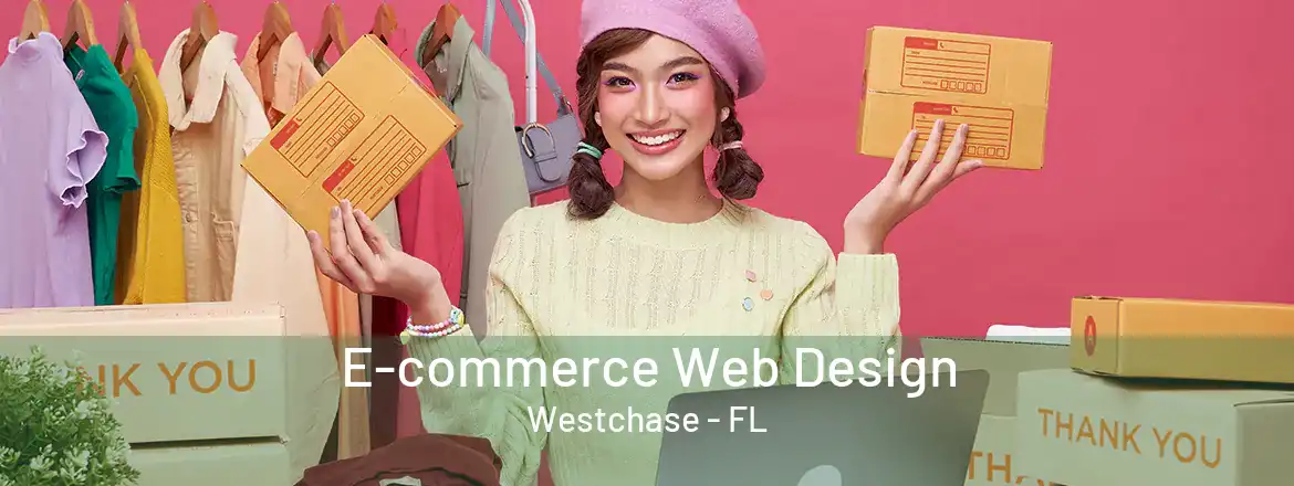  E-commerce Web Design Westchase - FL