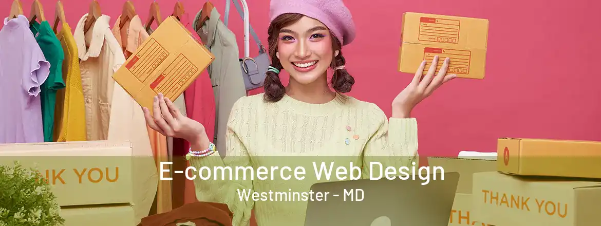  E-commerce Web Design Westminster - MD