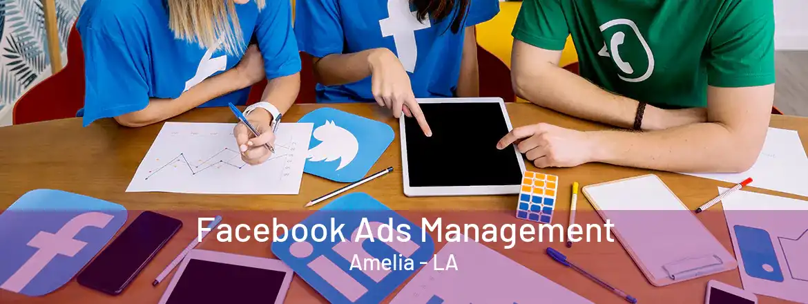  Facebook Ads Management Amelia - LA