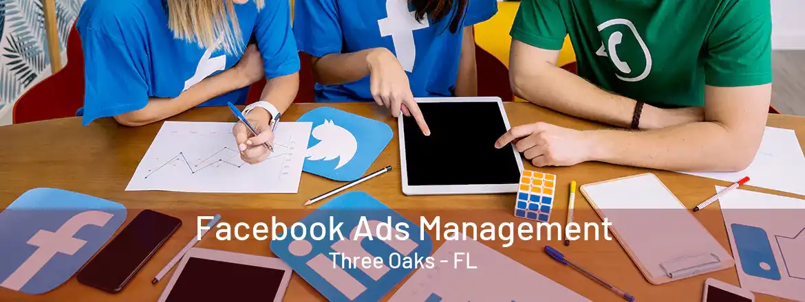  Facebook Ads Management Three Oaks - FL