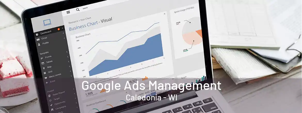  Google Ads Management Caledonia - WI