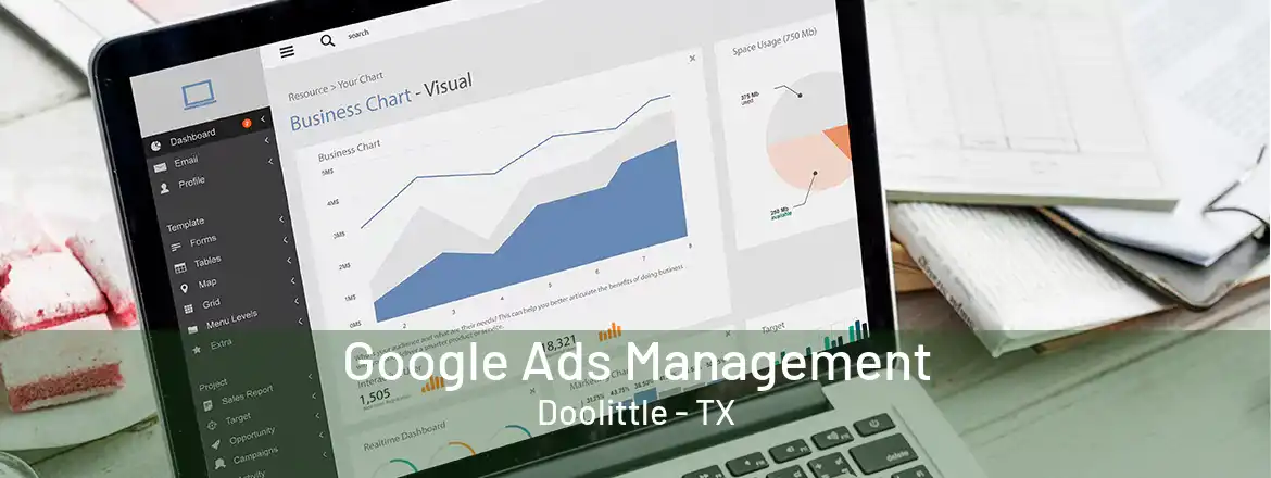  Google Ads Management Doolittle - TX