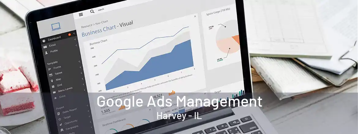  Google Ads Management Harvey - IL