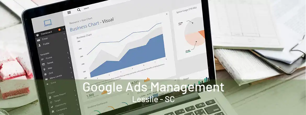  Google Ads Management Lesslie - SC
