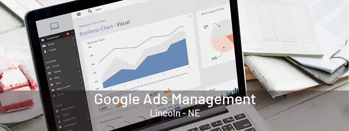  Google Ads Management Lincoln - NE