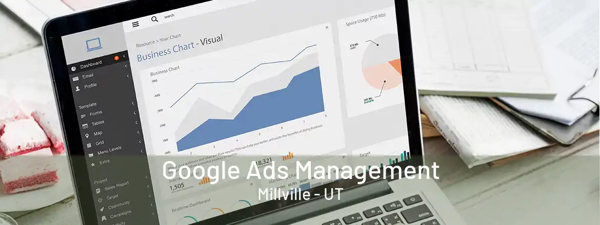  Google Ads Management Millville - UT