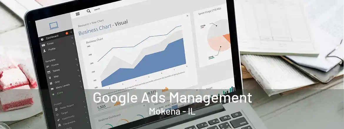  Google Ads Management Mokena - IL