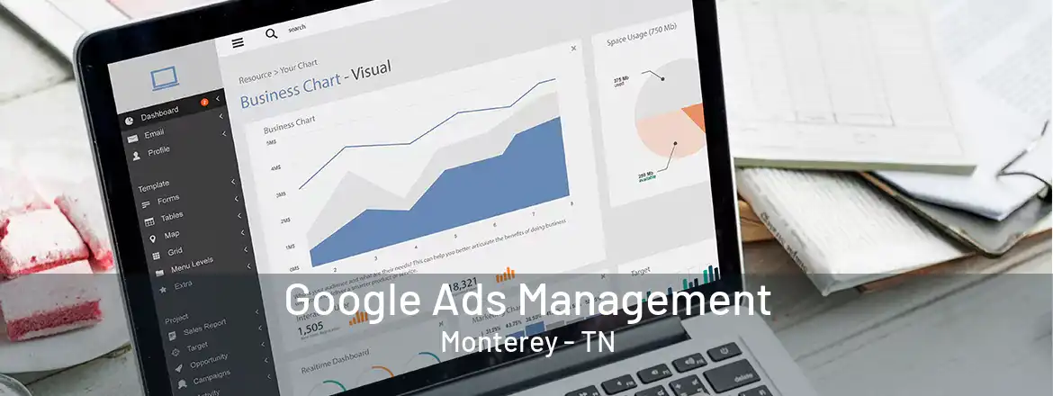  Google Ads Management Monterey - TN