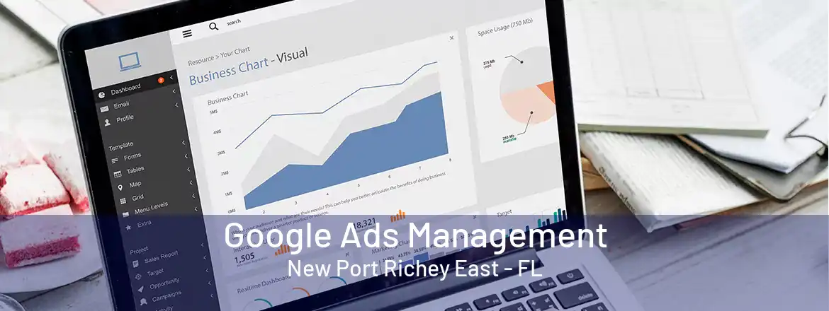  Google Ads Management New Port Richey East - FL