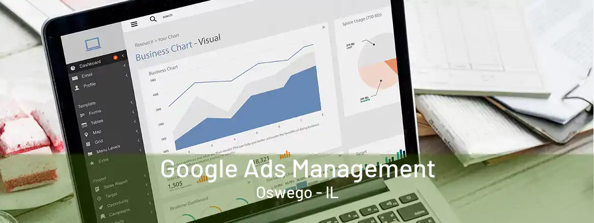  Google Ads Management Oswego - IL