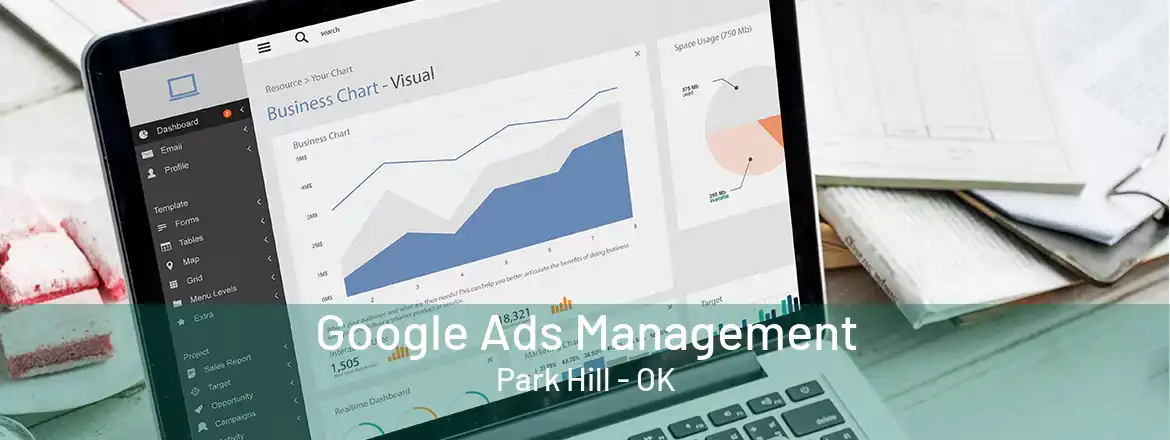  Google Ads Management Park Hill - OK