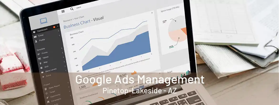  Google Ads Management Pinetop-Lakeside - AZ