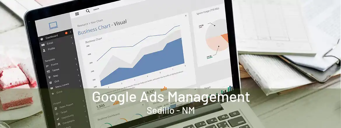  Google Ads Management Sedillo - NM