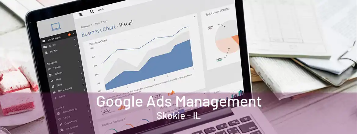  Google Ads Management Skokie - IL