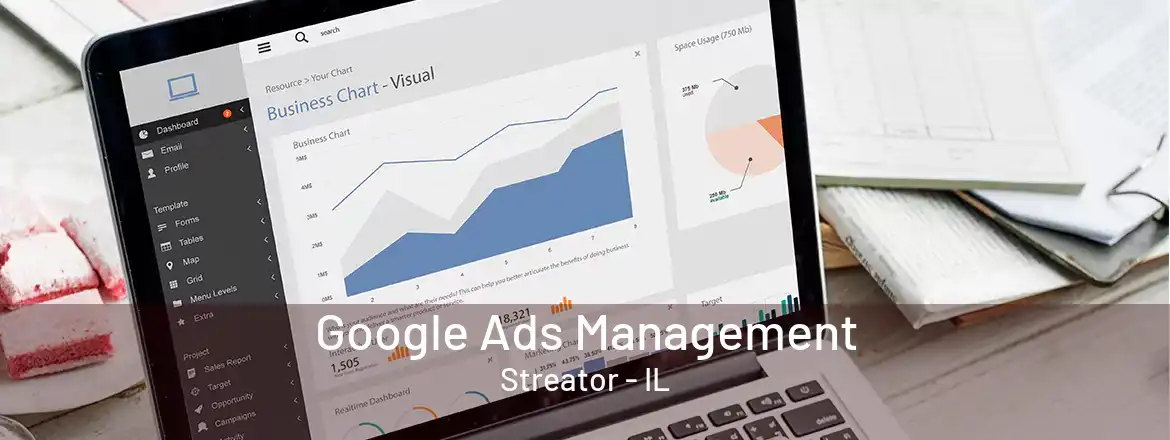  Google Ads Management Streator - IL