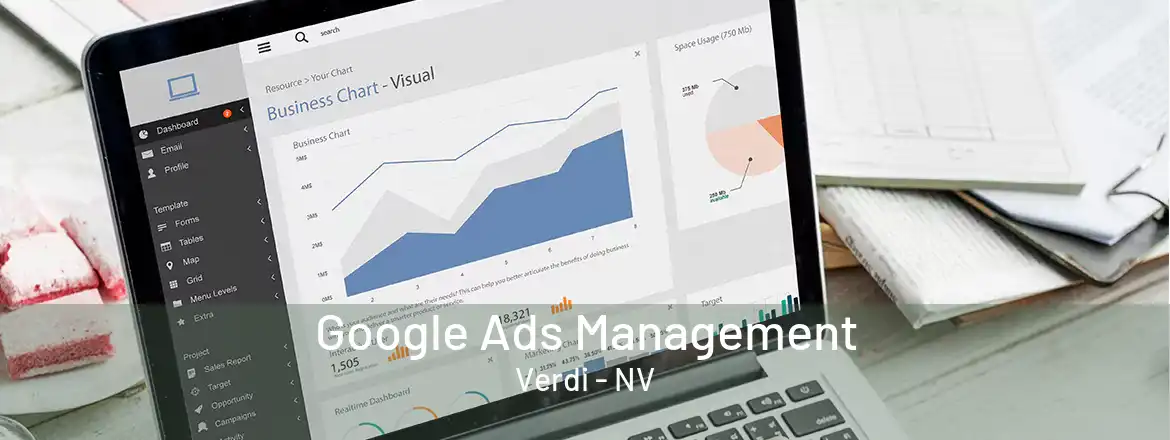  Google Ads Management Verdi - NV