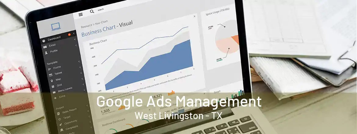  Google Ads Management West Livingston - TX