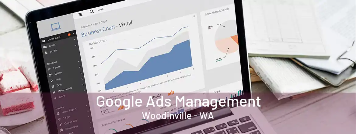  Google Ads Management Woodinville - WA