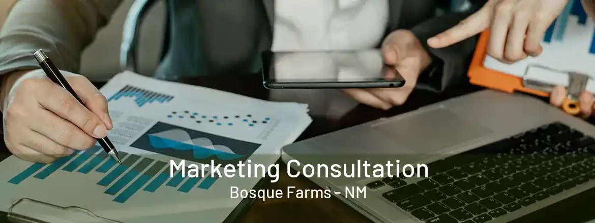  Marketing Consultation Bosque Farms - NM