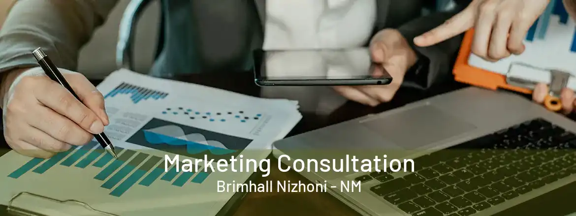  Marketing Consultation Brimhall Nizhoni - NM