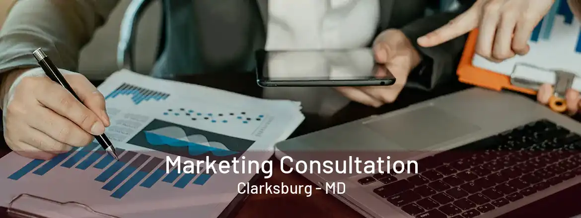  Marketing Consultation Clarksburg - MD