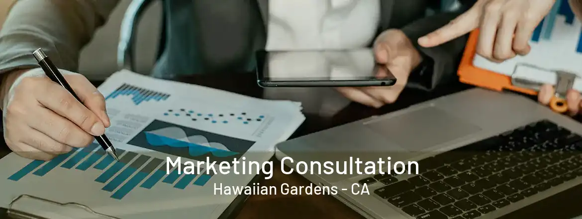  Marketing Consultation Hawaiian Gardens - CA