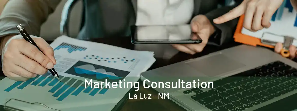  Marketing Consultation La Luz - NM