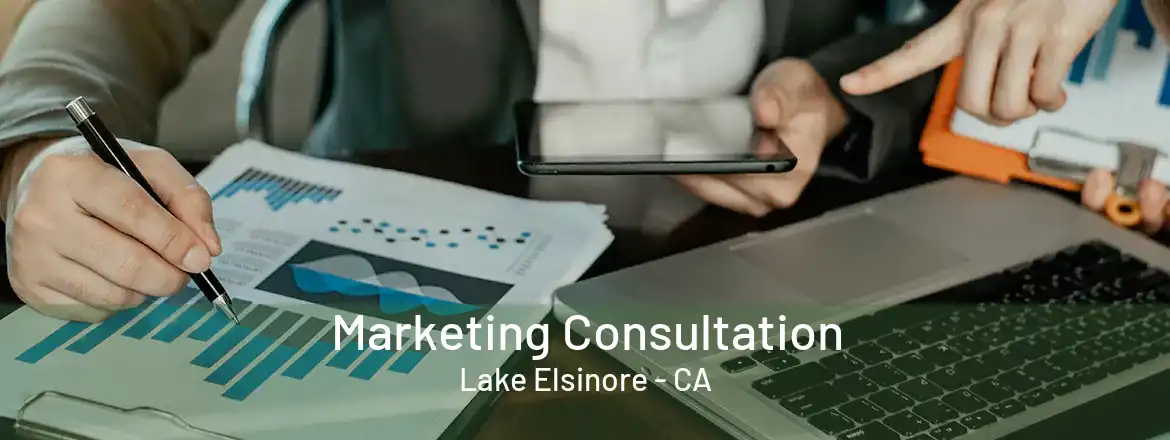  Marketing Consultation Lake Elsinore - CA