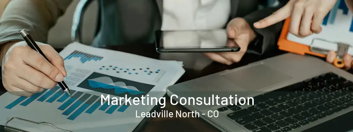  Marketing Consultation Leadville North - CO