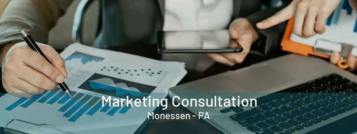  Marketing Consultation Monessen - PA